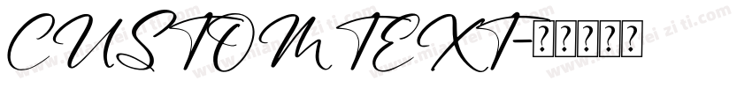 CUSTOM TEXT字体转换